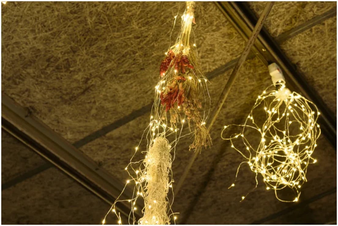 LED SWAN BULB SPARKLER