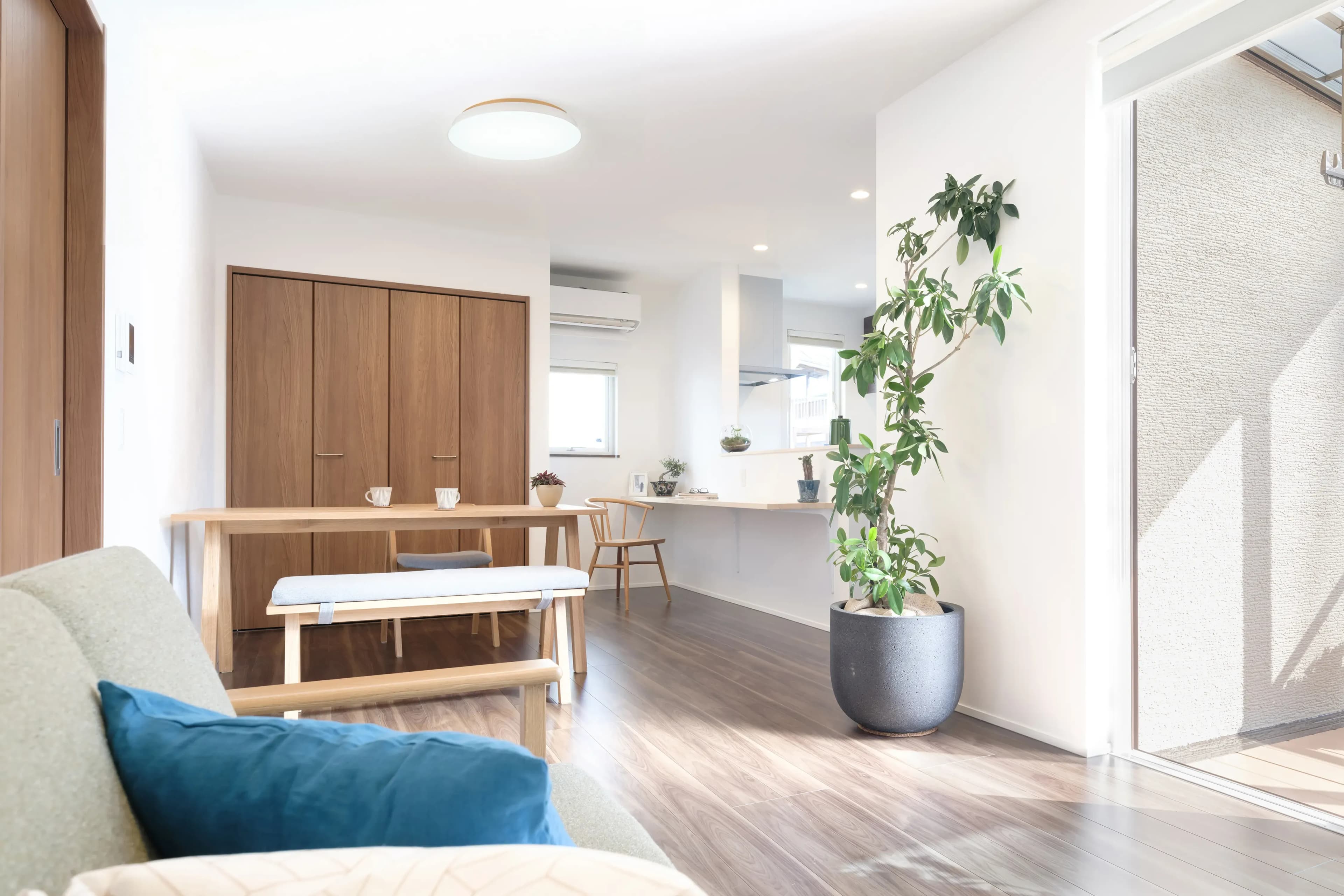 TAIRA | スワン電器 | SWAN