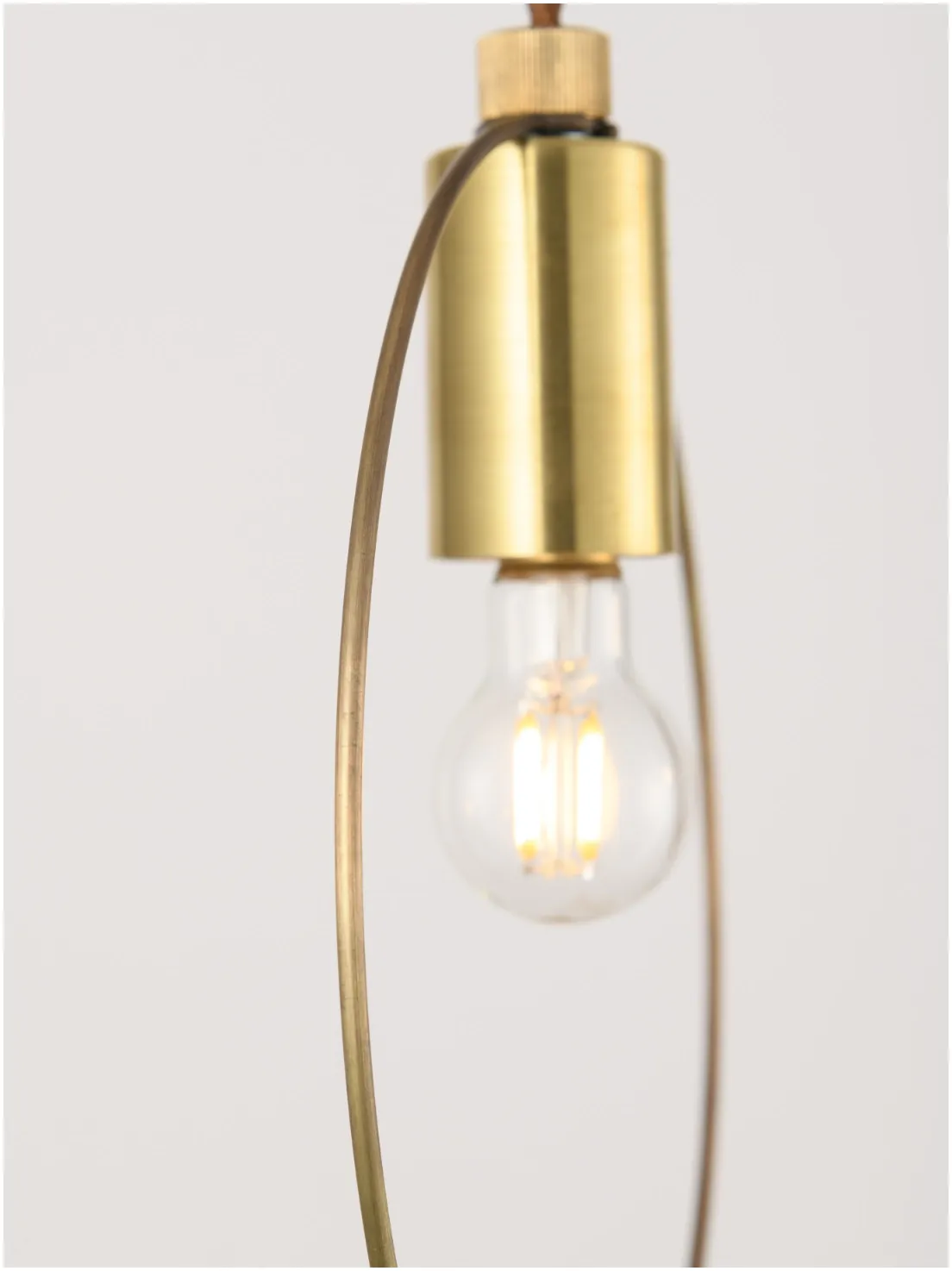 BOTANIC HANGING WIRERING LIGHT