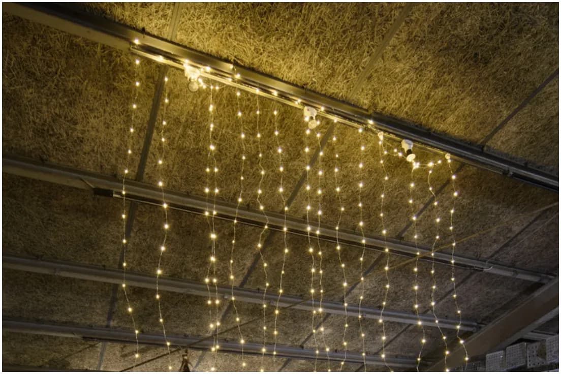 LED SWAN BULB SPARKLER