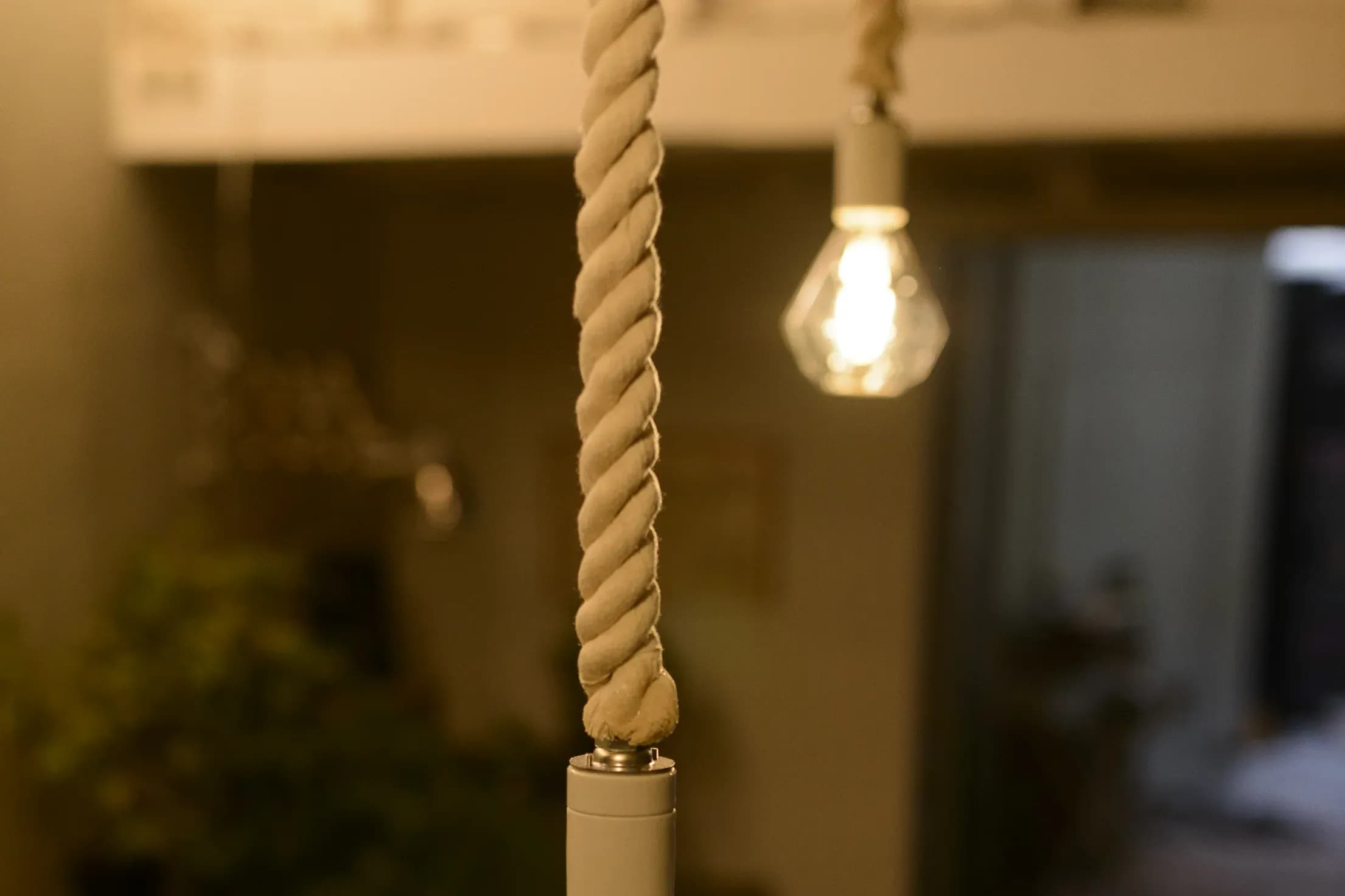 BOTANIC ROPE SOCKET