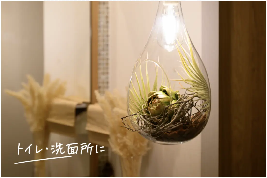 BOTANIC HANGING LIGHT with FAKEGREEN