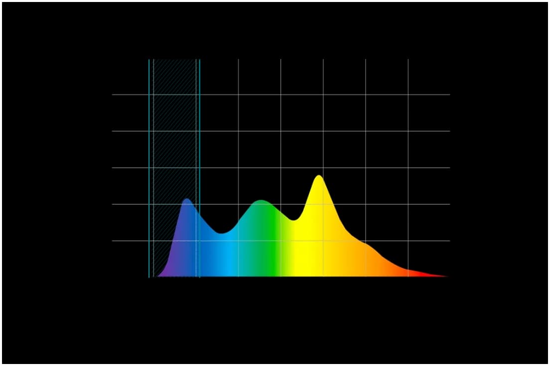 EXARM OLED Petit