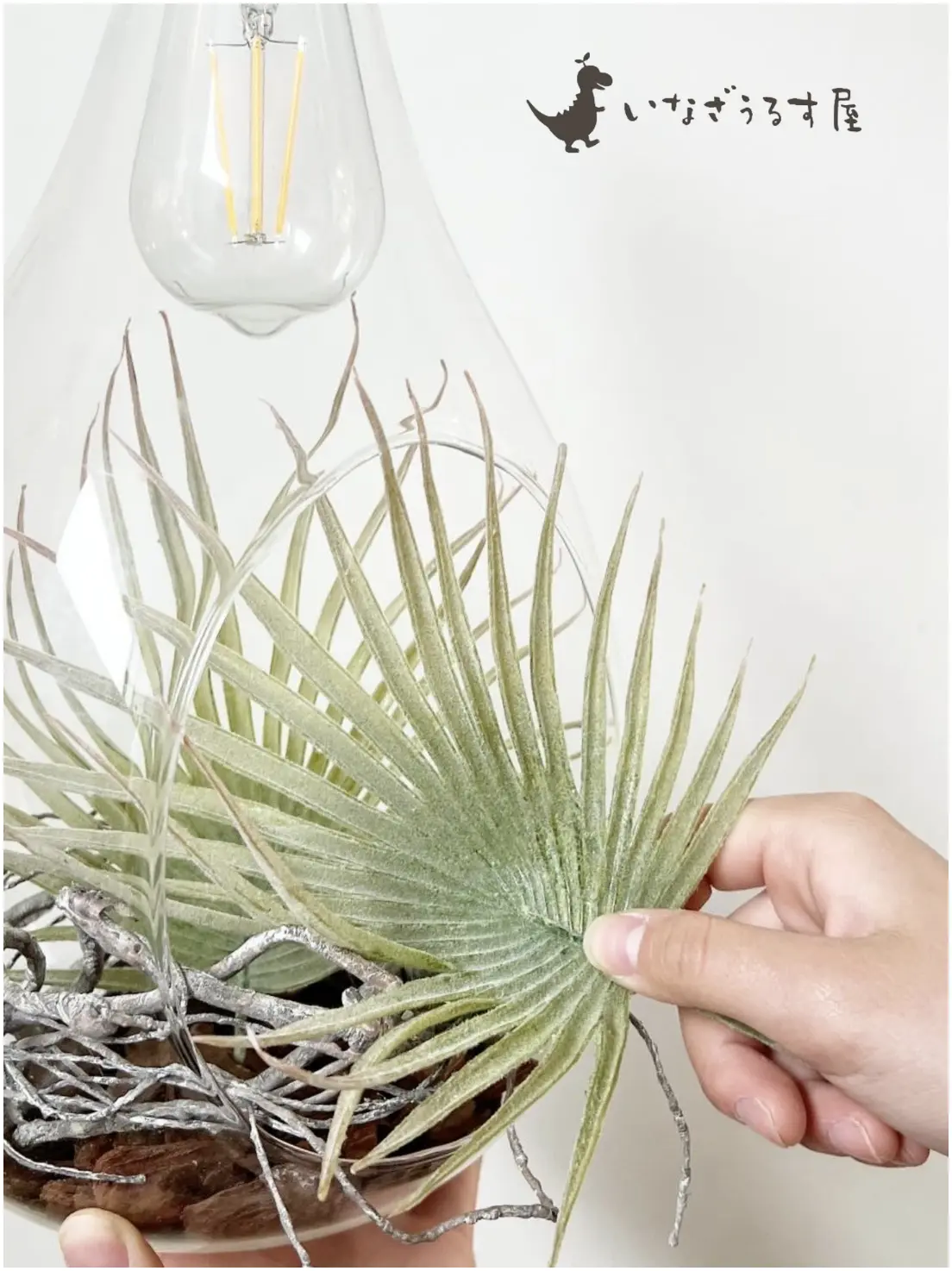 BOTANIC HANGING LIGHT with FAKEGREEN