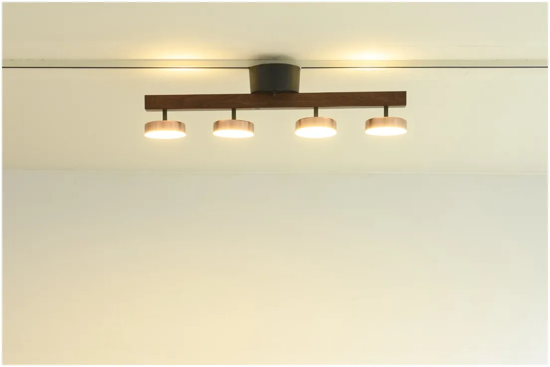RUMANI4 CEILING LIGHT