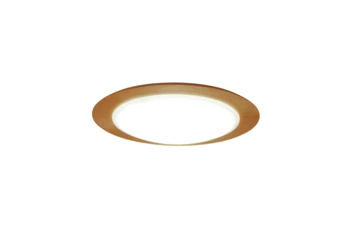 CE-1004