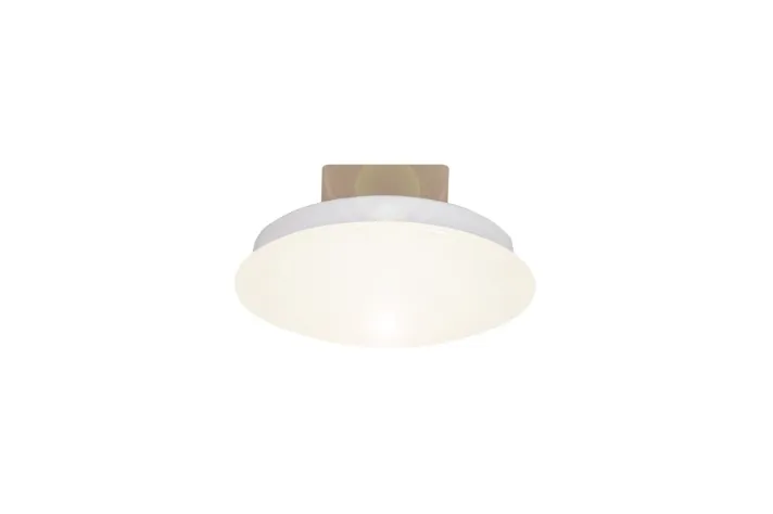 CE-1001